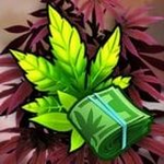 植物庄园经营与种植乐趣v2.14.0 无限钻石版