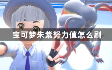 宝可梦朱紫努力值高效刷法
