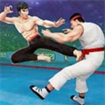 功夫大师手游免费畅玩v3.3.1 最新版