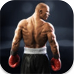 真实拳击手游畅爽格斗v2.9 安卓版