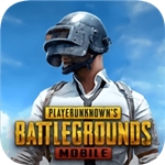 pubg地铁逃生国际服无限资源版v2.5.3 无限金条版